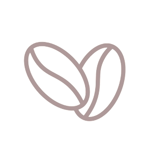 Coffee Bean Illustration